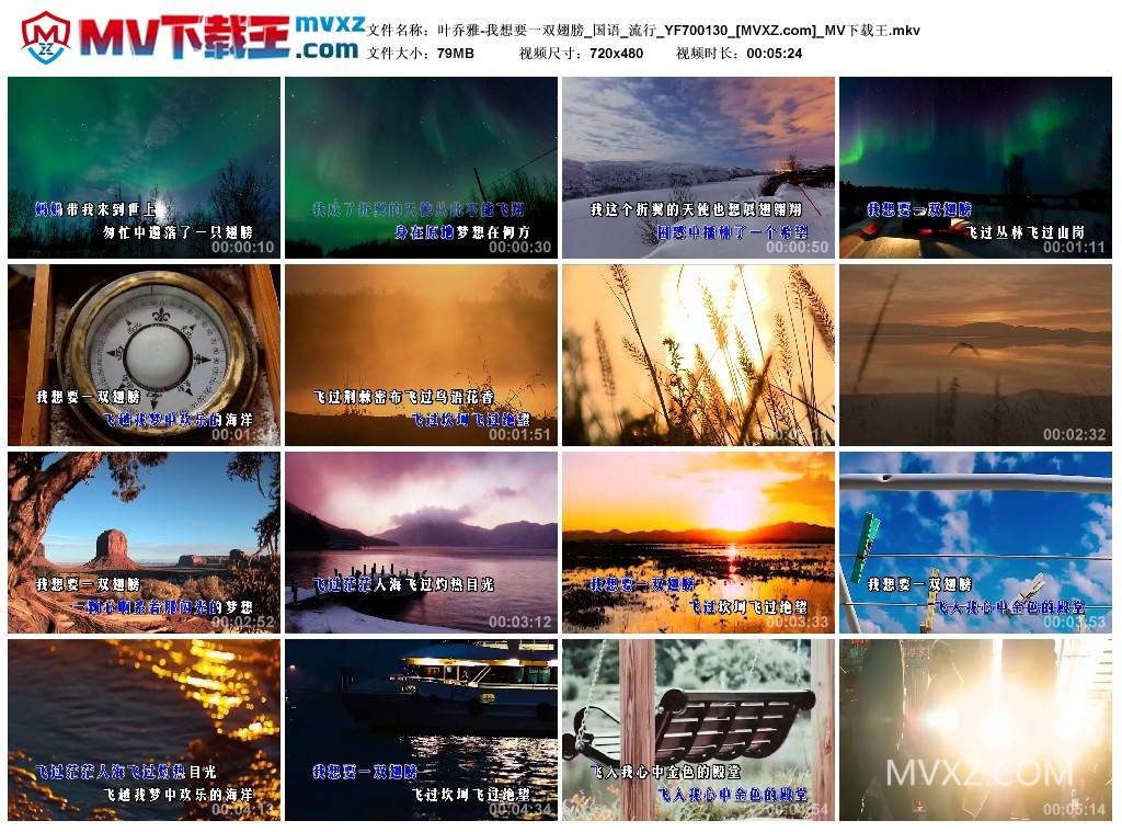 叶乔雅-我想要一双翅膀_国语_流行_YF700130